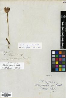 Type specimen at Edinburgh (E). Drummond, James: 47. Barcode: E00373957.