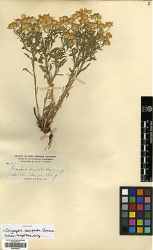 Type specimen at Edinburgh (E). Baker, Charles: 608. Barcode: E00385602.