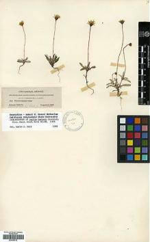Type specimen at Edinburgh (E). Townsend, Charles; Barber, Charles: 269. Barcode: E00385770.