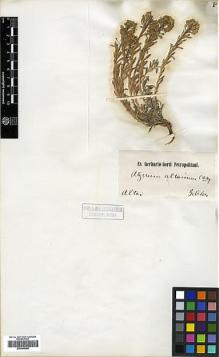 Type specimen at Edinburgh (E). Gebler, Friedrich: . Barcode: E00386085.