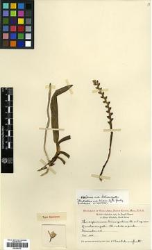 Type specimen at Edinburgh (E). Clemens, Joseph: 201. Barcode: E00394272.