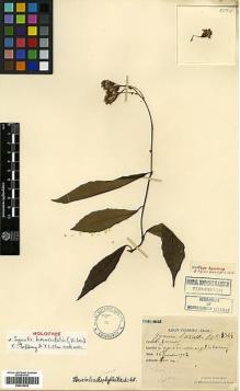 Type specimen at Edinburgh (E). Esquirol, Joseph: 3524. Barcode: E00414042.