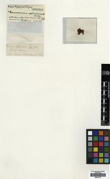 Type specimen at Edinburgh (E). Drummond, James: . Barcode: E00417512.