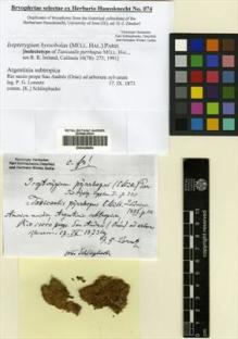 Type specimen at Edinburgh (E). Lorentz, Paul: . Barcode: E00428850.
