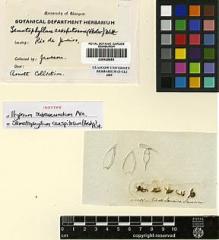 Type specimen at Edinburgh (E). Jameson, William: . Barcode: E00428853.
