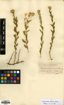 Type specimen at Edinburgh (E). Baker, Charles: 657. Barcode: E00433145.