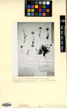 Type specimen at Edinburgh (E). Ruprecht, Franz: 57. Barcode: E00531499.