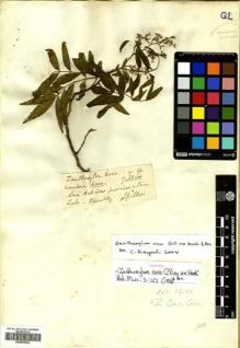Type specimen at Edinburgh (E). Gillies, John: . Barcode: E00593936.