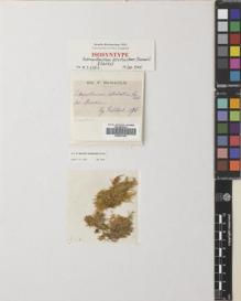 Type specimen at Edinburgh (E). De Robillard, Victor: . Barcode: E00638199.
