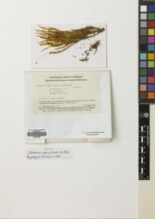 Type specimen at Edinburgh (E). Wurdack, John: 1778. Barcode: E00669685.