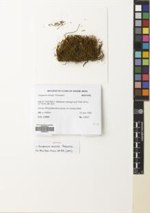 Type specimen at Edinburgh (E). Long, David: 22647. Barcode: E00687512.