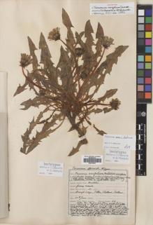 Type specimen at Edinburgh (E). Johnston, Henry: 116. Barcode: E00746403.