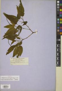 Type specimen at Edinburgh (E). Jameson, William: 551. Barcode: E00885430.