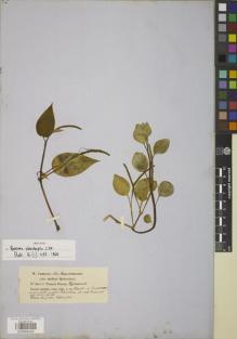 Type specimen at Edinburgh (E). Jameson, William: 400. Barcode: E00885432.