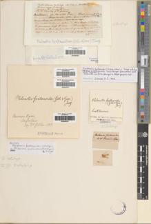 Type specimen at Edinburgh (E). Gillies, John: (4). Barcode: E00955614.
